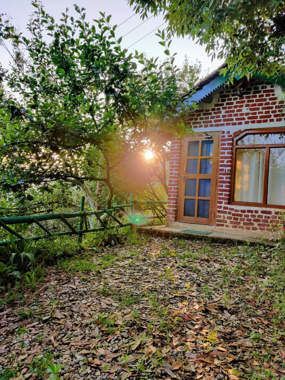 Deluxe Cottage Garden